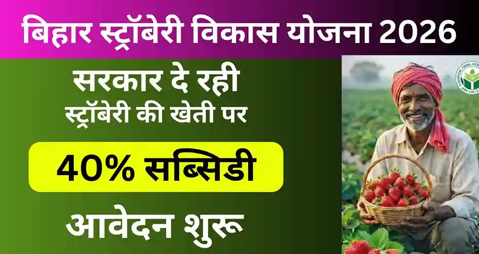 Bihar Strawberry Vikas Yojana 2026