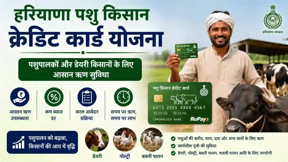 Haryana Pashu Kisan Credit Card Yojana